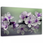 Spaudinys ant drobės Apple Blossom Nature Plant