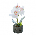 Dirbtinių gėlių drugelių orchidėjų vazonas bonsai sodo &bdquo;pasidaryk pats&ldquo; vakarėlio baldų dekoras balta