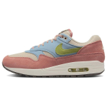 Nike Air Max 1 'Light Madder Root' DV3196-800 42.5
