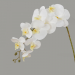 100CM Dirbtinė drugelio orchidėjos gėlė 9 galvutės Spalvingos kandžių orchidėjos Netikra gėlė Vestuvių vakarėlio dekoracija namams DIY vazai balta
