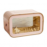 Skaidri medinė pinigų dėžutė Didelės talpos taupyklė Monetų grynųjų pinigų konteineris Vaikams Suaugusiems Pasidaryk pats Animacinis pinigų taupymo dėklas Laikymo stiklainis Dekoracija S