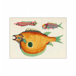 Pop Colorful Animals Žuvies plakatas Estetinis žuvų rū&scaron;ių iliustracija Eskizas Drobės spaudinys Sienų menui Namų dekoravimas Kambario dekoras 21x30cm No Frame