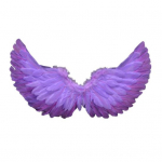 Angelo plunksnų sparnai su elastiniais dirželiais Ry&scaron;kios spalvos lengvi kostiumai Cosplay Wings fotografijos rekvizitai