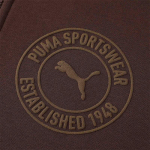 Puma Logotipas Sportinis Laisvalaikio Flisinis Džemperis su Gaubtu Vyri&scaron;ki &scaron;varkai Ruda 688713-65 L