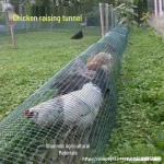 Mobilus lauko vi&scaron;tidė su bambuko takeliu