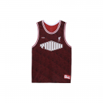 Nike &bdquo;LeBron X Liverpool FC&ldquo; raidžių logotipo spausdinimas be rankovių krep&scaron;inio liemenių vyri&scaron;kos palaidinės raudonos DV9519-652 M