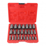 25 dalių Sraigtiniai i&scaron;traukikliai &Scaron;e&scaron;iakampis Imperial Screw Screw Remover įrankis pažeistiems sulūžusiems nuplė&scaron;tiems varžtams
