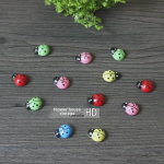 Mini boružėlė &scaron;ventinė dekoracija sukulentams Red Ladybug (G-160)