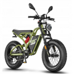 Elektrinė transporto priemonė - FAFREES - F20 ULTRA - 1200W - 48V 25Ah - Hidrauliniai stabdžiai žalia