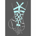 Erotika Feti&scaron;as &Scaron;ibari Bondage Pop Art Plakatai ir Spaudiniai Modernaus Meno Drobės Tapyba Sienų Menas Paveikslai Namų Baro Kambario Dekoravimas 21cm&times;30cm NoFrame