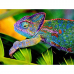 Deimantinis siuvinėjimas Chameleonas Pilnas apvalus deimantinis paveikslas Gyvūnų deimantų mozaikos cirkonio paveikslas 20X30CM