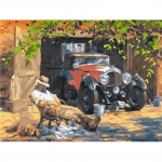 5d &bdquo;pasidaryk pats&ldquo; deimantinis tapybos kryželiu rinkiniai deimantiniai siuvinėjimai kri&scaron;tolinio kri&scaron;tolinio akmens paveikslas 20X30CM