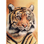Deimantinis paveikslas Tiger Animal 5D &bdquo;Pasidaryk pats&ldquo; pilnas apvalus deimantinis siuvinėjimo rinkinys Kalnų kri&scaron;tolinio mozaikos kryžminio dygsnio sienų menas Dovanų namų dekoras