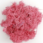 20 g dirbtinis žalias augalas netikrų gėlių samanų žolė Nemirtinga svetainės dekoratyvinė siena, pasidaryk pats, gėlių priedai tamsiai rausva spalva