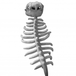 Dinozauro skeleto galvos apdangalas Suaugusiųjų Vaikų kostiumo rekvizitai Dinozauro Cosplay &scaron;almas Pliu&scaron;inės kaukės Žaislai Dinozaurų parko aksesuaras