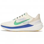 Nike Air Winflo 9 Premium Kokoso pienas Stadiono žalia Vyri&scaron;ki sportbačiai Kreminė smėlio spalva Lenktyninė mėlyna DV8997-100 46