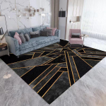Svetainės dekoravimo kilimas Geometrinis tamsus ra&scaron;tas Kilimėlis po sofa ir kavos staliuku Miegamojo kilimas 80*120cm