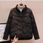 Moteri&scaron;ka rudens ir žiemos maža vienspalvė pūkinė striukė, stovima apykakle, plona, ​​ilgomis rankovėmis plona striukė 2XL black