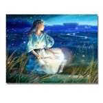 Deimantinis paveikslas 12 Zodiako deimantų siuvinėjimas Žvaigždėtas naktinis peizažas Siuvinėjimas kryželiu 20X30CM