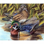 5D &bdquo;pasidaryk pats&ldquo; deimantinis pie&scaron;imas vandens ančių siuvinėjimas kryželiu kri&scaron;tolinio akmens mozaikos namų dekoras 20X30CM