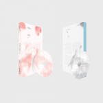 BTS HYYH Pt.1 Gražiausia gyvenimo akimirka Oficialus autenti&scaron;kas K-Pop albumas