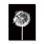 &Scaron;iaurės &scaron;alių gėlė Natura Canvas Aliejinė tapyba Plakatai ir spaudiniai Quadros Wall Art Modernus paveikslas gyvenamojo kambario namų dekoravimui Cuadros 20x30cm