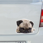 Tri Mishki WCS861 16x12cm Puikus PUG &scaron;unų automobilio lipdukas PVC spalvingi lipdukai vandeniui atsparus lipdukas ant automobilio kėbulo galinio lango