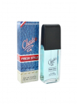 Fresh Style eau de toilette for men 100 ml