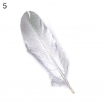 Plunksnos plunksnos Helovinas