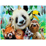 Visas 5D &bdquo;pasidaryk pats&ldquo; deimantinis pie&scaron;imas Spalvotas gyvūnas panda Siuvinėjimas kryželiu namų dekoras rankų darbo dovana 25x30cm