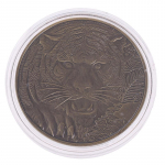 1 vnt. drakono tigro bronzinė moneta, padengta bronza, 40 mm kolekcinės monetos