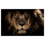 Afrikos laukinio tigro paveikslai ant drobės, plakatai ir spaudiniai, sienų dekoras, dekoratyviniai paveikslai svetainei, namų dekoras, cuadros 20*40cm No Frame