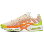Nike Air Max Plus 'Color Flip' Vyri&scaron;ki CI5924-531 EU 39
