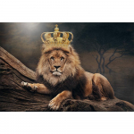Afrikos Liūtas Karalius Karali&scaron;ka Karūna Drobės Plakatai ir Spaudiniai Meno Paveikslai su Laukiniais Gyvūnais Modernūs Sienų Paveikslai Namų Dekorui 21x30 No Frame