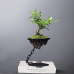 Iron hanging ornaments chain suspension living room decoration bamboo succulent moss ball landscape basin vase