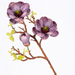 3 vnt. Dirbtinės netikros magnolijos žiedai EVA fotografijos rekvizitams, vestuvėms, vidaus, lauko, namų, svetainės dekoravimui &scaron;ampanas