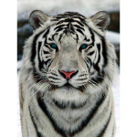&bdquo;Pasidaryk pats&ldquo; deimantinis paveikslas &bdquo;Tiger Cross Sitch&ldquo; deimantinis siuvinėjimas &bdquo;Animal Diamond Painting&ldquo;. 20X30CM