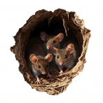 Pelės skylutės sienos lipdukas 3D lipdukas kaimi&scaron;kas vandeniui atsparus pelės lipdukas vaikų kambario svetainės dekoravimui ruda