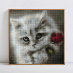 Deimantinė mozaikinė katės ir gėlių tapyba deimantiniu siuvinėjimu 30x30CM