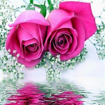 Deimantinės tapybos rinkinys Gėlė 5D Deimantinis tapymas Rankdarbiai Deimantinis tapymas Visas gręžtuvas 20*20cm