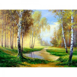 &bdquo;Pasidaryk pats&ldquo; deimantinė tapyba Viso gręžimo peizažas, beržas, deimantinis siuvinėjimas kra&scaron;tovaizdžio tapyba kalnų kri&scaron;toliniu akmeniu Full Round 20x30CM