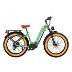 V&eacute;lo &Eacute;lectrique - OVIVO HYPER V6 - 250W - 48V 20Ah - Autonomie 150 km - Vitesse 25 km/h žalia