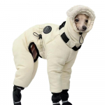 Neper&scaron;lampama žieminė &scaron;uns striukė Stora medvilne pamu&scaron;ta &scaron;uns striukė Augintinio apranga Greyhound Whippet M（5-6kg） smėlis