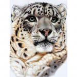 Visas 5D &bdquo;pasidaryk pats&ldquo; deimantinis pie&scaron;imas animacinis filmas &bdquo;Animal Tigras&ldquo; mozaikos siuvinėjimas kryželiu namų dekoras Rankų darbo 25x30cm
