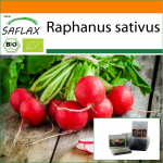 SAFLAX - Sodas mai&scaron;elyje - Ekologi&scaron;kas - Ridikėlis - Vy&scaron;nių varpelis - 100 sėklų - Su substratu tinkamame stovimame mai&scaron;elyje - Raphanus sativus