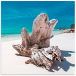 Les Tr&eacute;sors De Lily [A2866] - Toile photo 'Bords de Mer' bleu (plage) - 90x90 cm