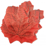 Pabarstykite rudens spalvas su 50 dirbtinių klevo lapų rankdarbiams ir dekorui!