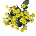 1 vnt., 6 &scaron;akos, 36 galvų modeliavimas, &scaron;ilko gėlė Milano &bdquo;pasidaryk pats&ldquo; menas, vestuvių namų dekoras fuksija