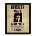 Harry Potter 3D lentikulinis rėmintas plakatas One Size juoda