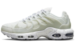 Nike Air Max Terrascape Plus Balti Pure Platinum DQ3977-100 40.5